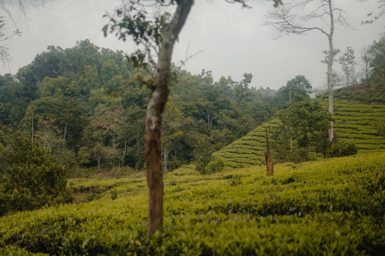 Hotel Abad Brookside Wayanad Vythiri Exterior foto