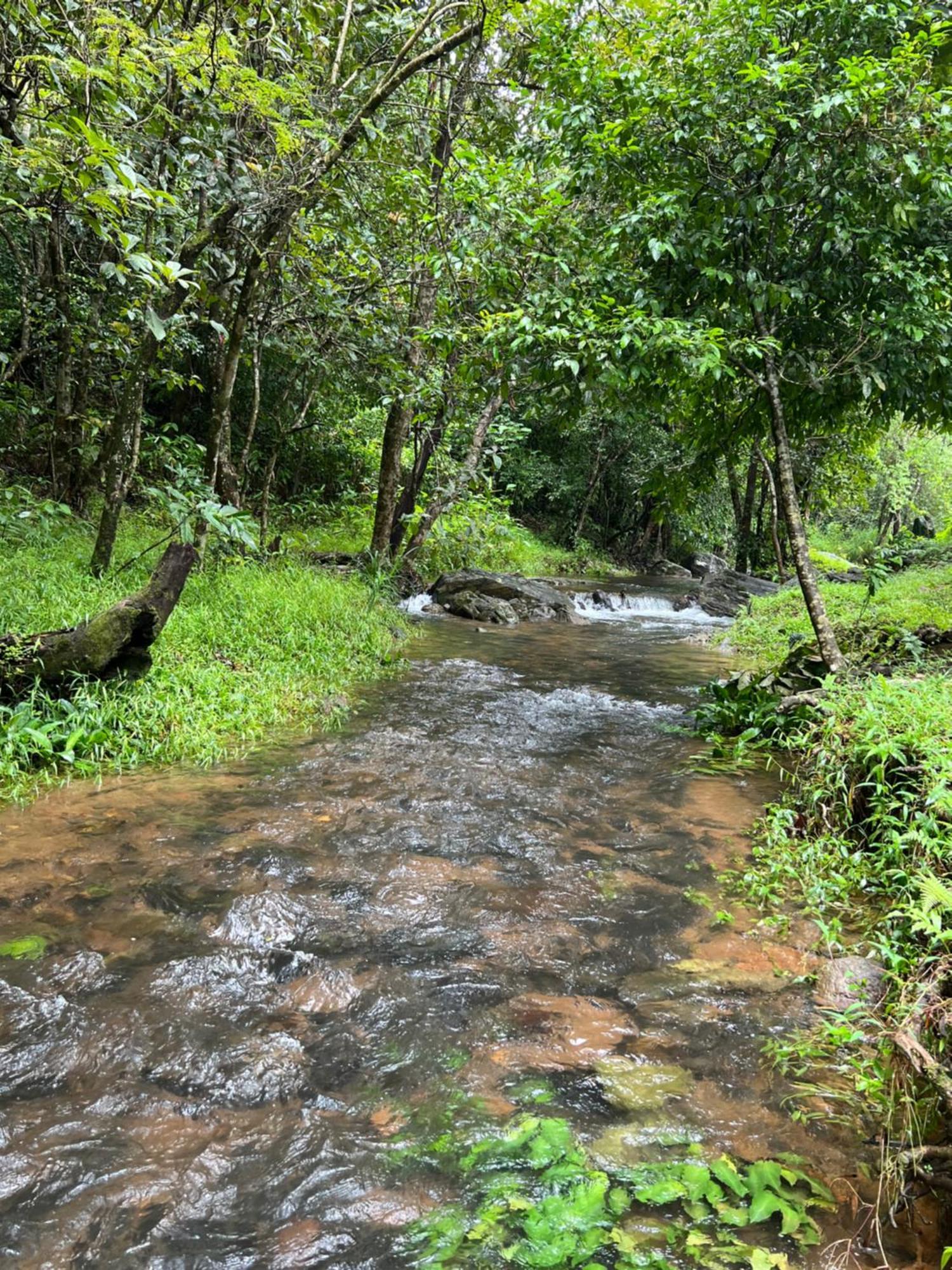Hotel Abad Brookside Wayanad Vythiri Exterior foto