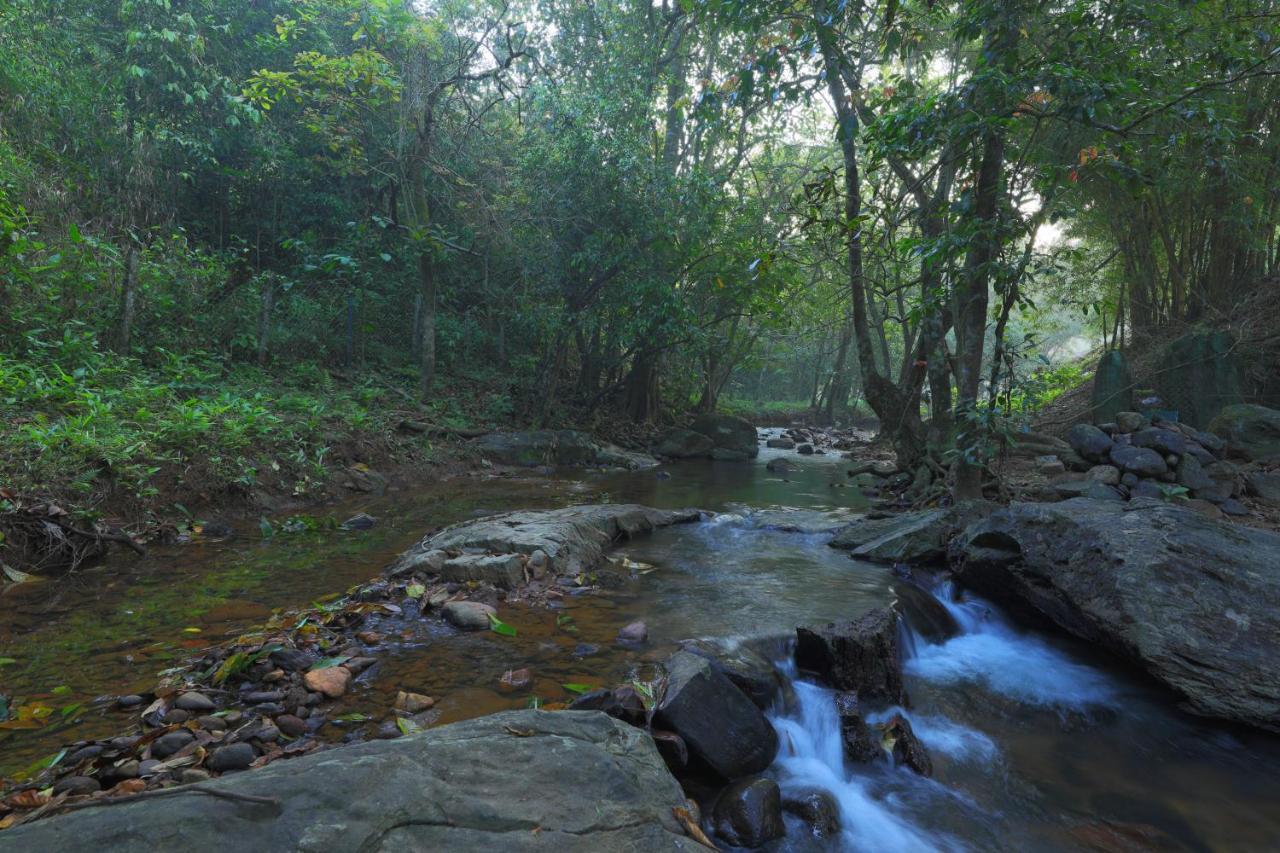 Hotel Abad Brookside Wayanad Vythiri Exterior foto